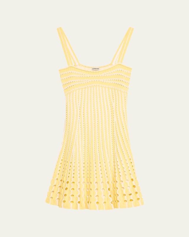 Franklin Crochet Fit & Flare Mini Dress