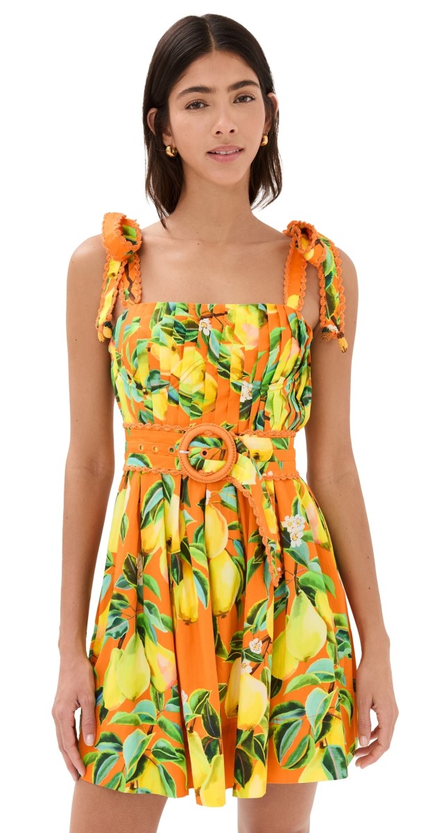 FARM Rio Orange Chic Pears Mini Dress Chic Pears Orange