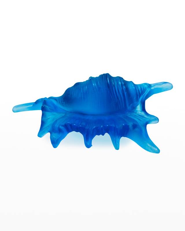Mer De Corail Small Shell