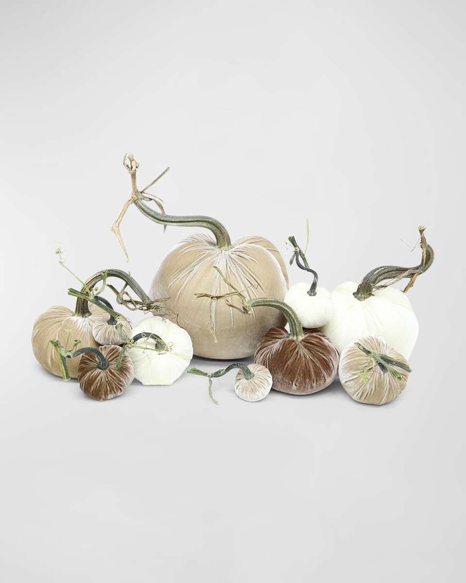 Mixed Velvet Pumpkins, Set of 10