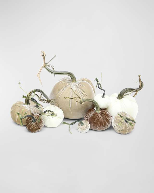 Mixed Velvet Pumpkins, Set of 10