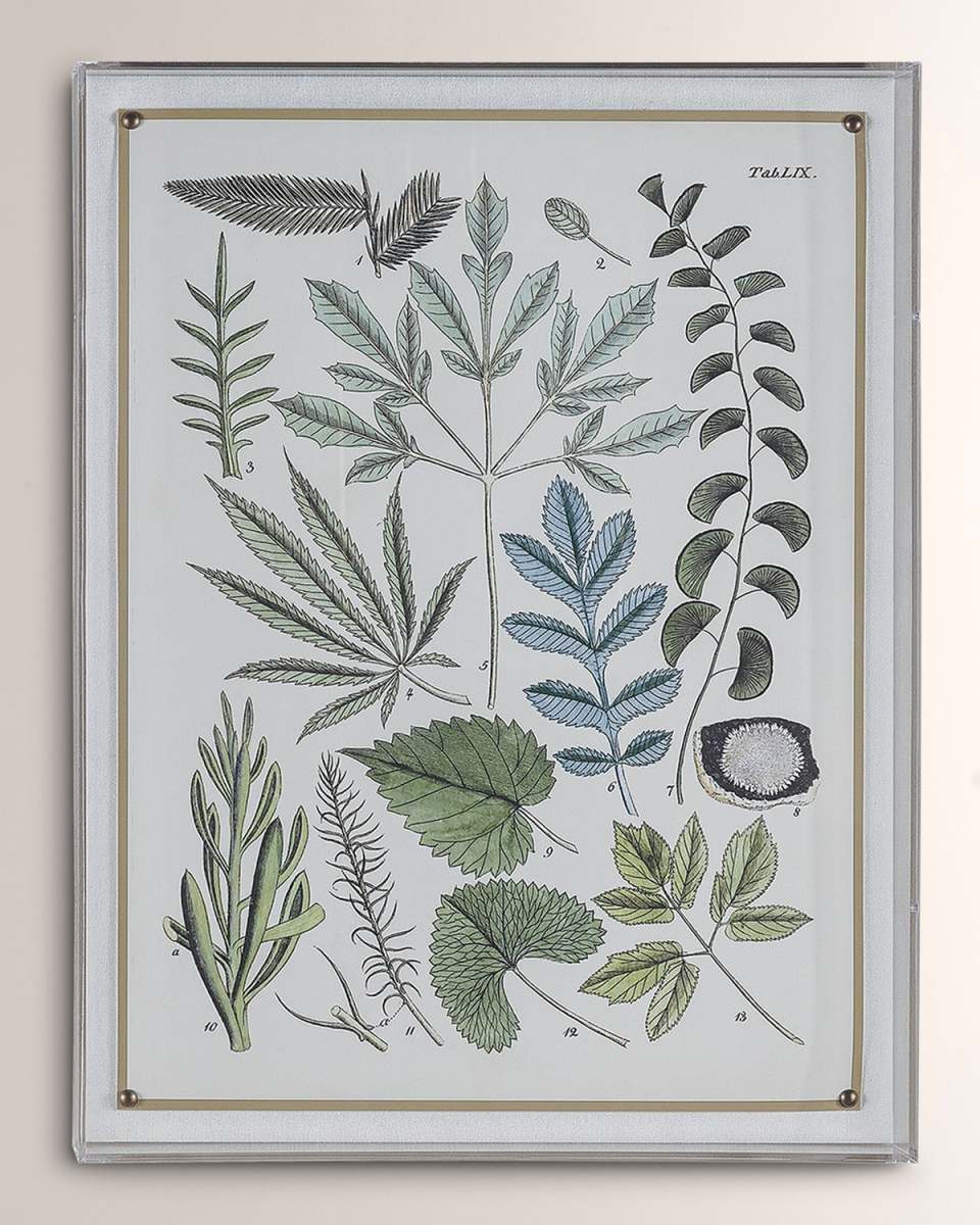 "Fern VII" Giclee