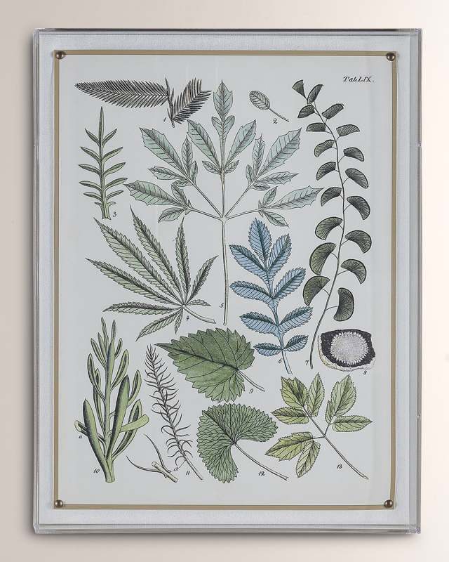 "Fern VII" Giclee