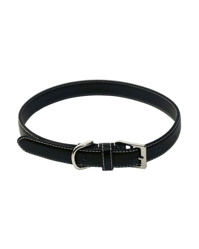 Personalized Leather Medium Dog Collar