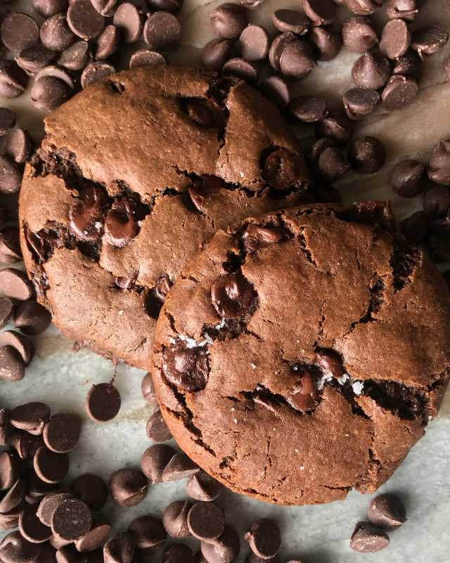 Vegan Double Chocolate Chip Cookies