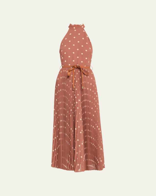 Sunray Picnic Maxi Dress
