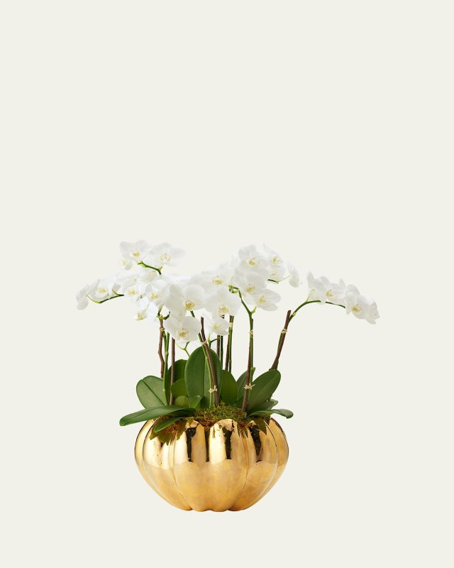 Mirabelle Cachepot