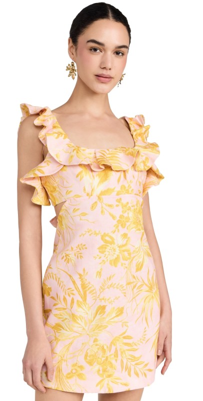 Zimmermann Golden Ruffle Mini Dress Pink/Gold Floral