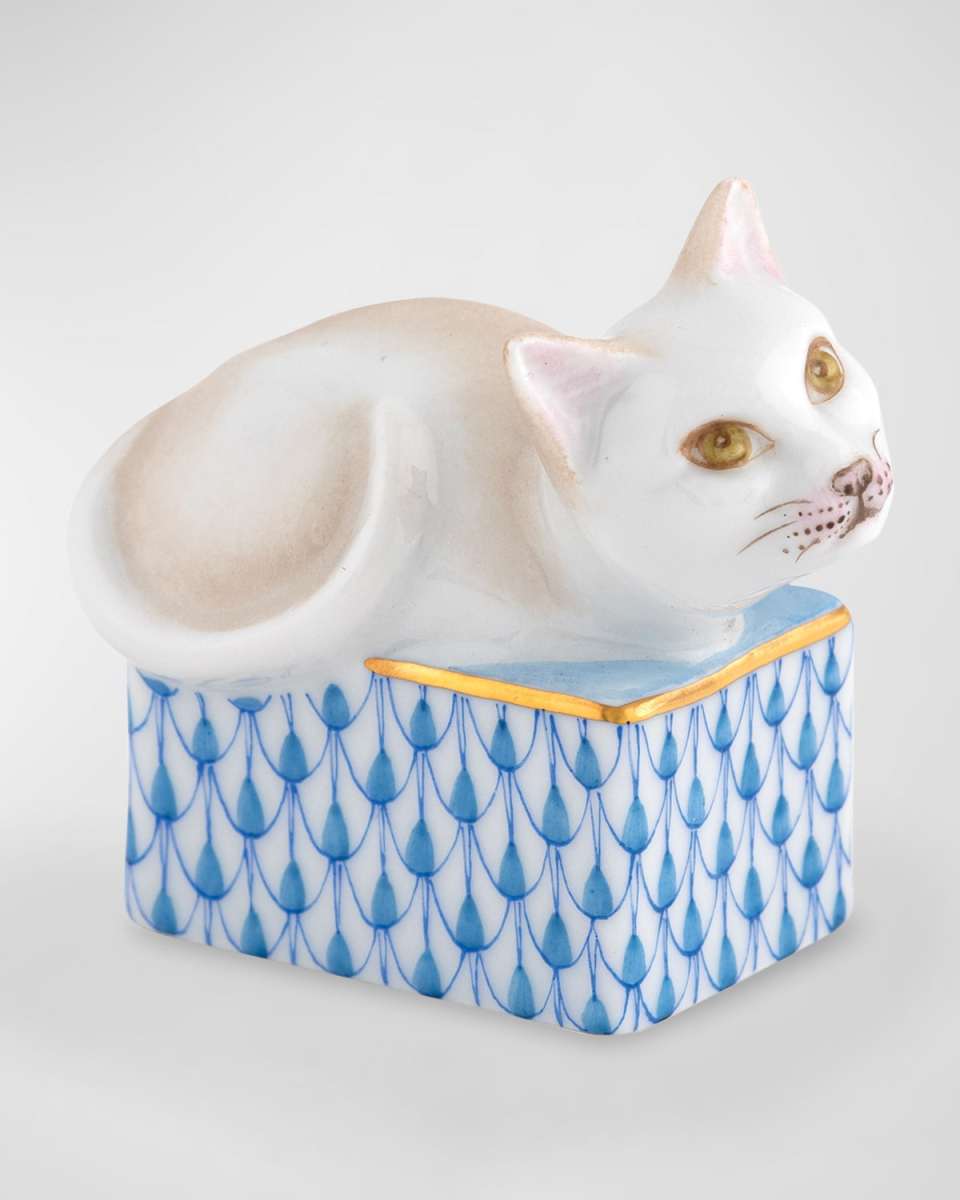 Cat in a Box