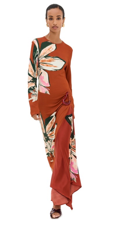Silvia Tcherassi Ananya Dress Red Floral Print
