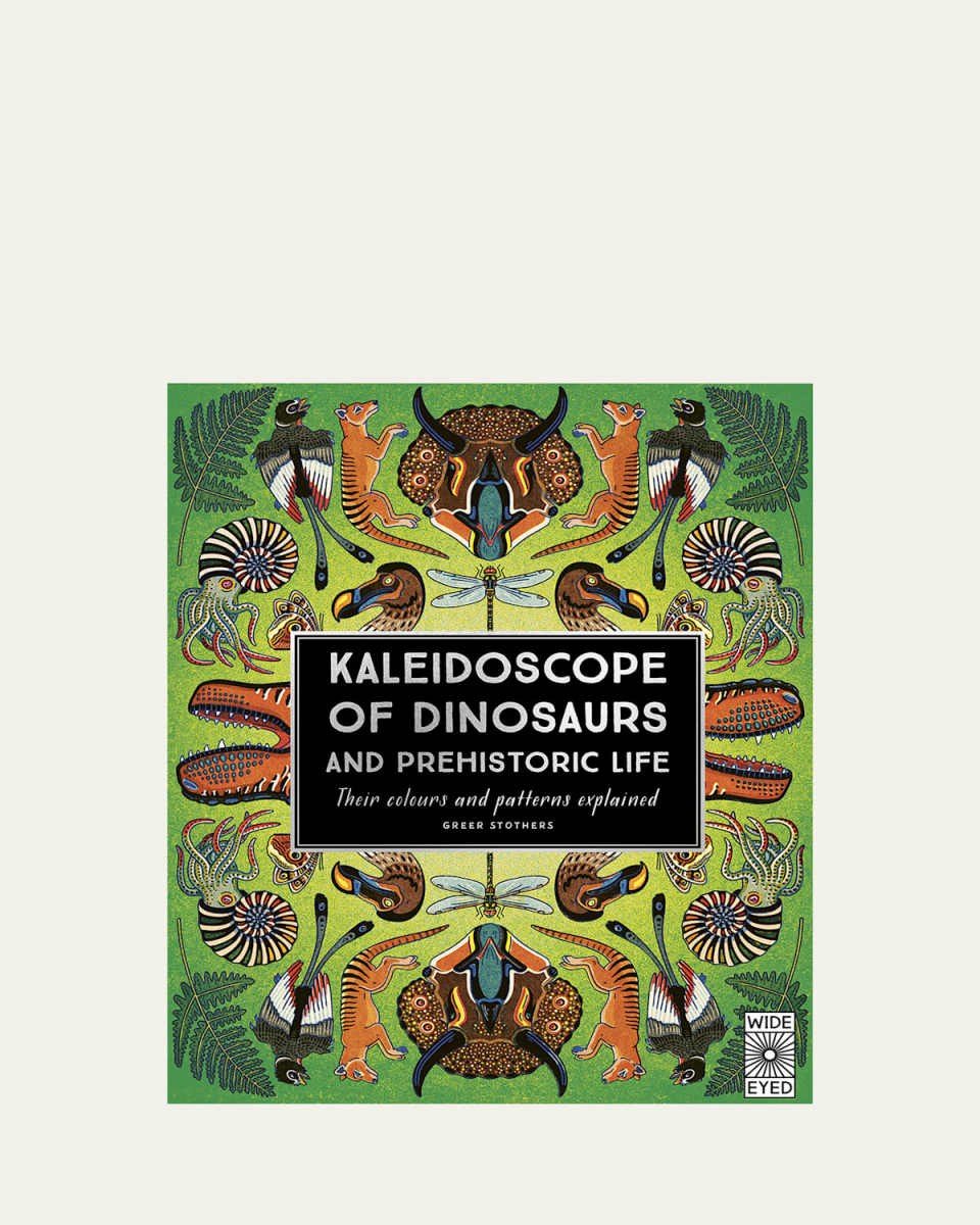 Kid's Kaleidoscope Of Dinosaurs Book