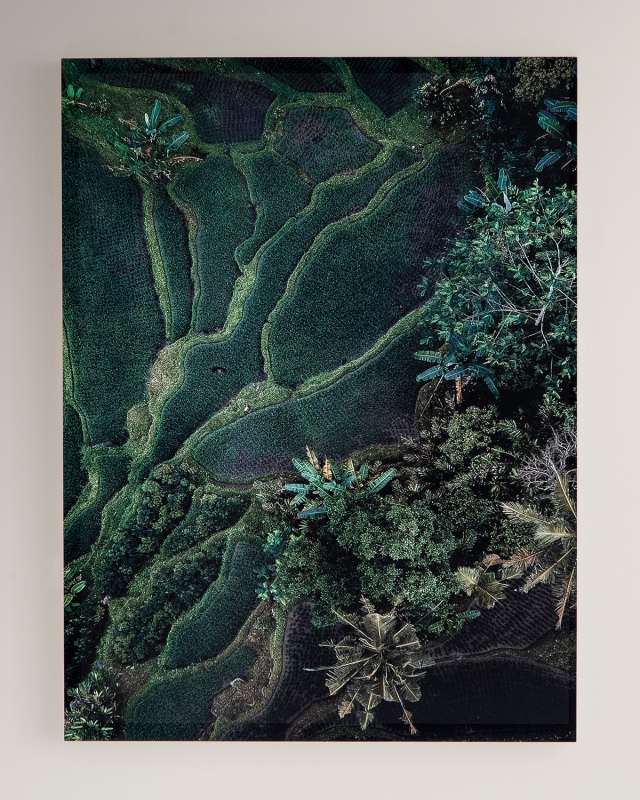 "Forever Green" Photography Print on Maple Box Framed Wall Art
