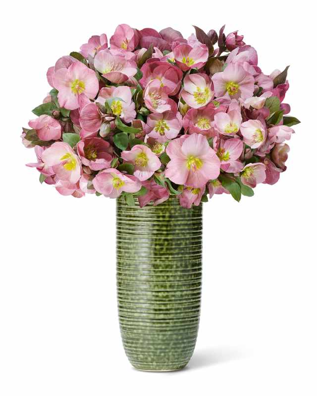Calinda Tall Vase