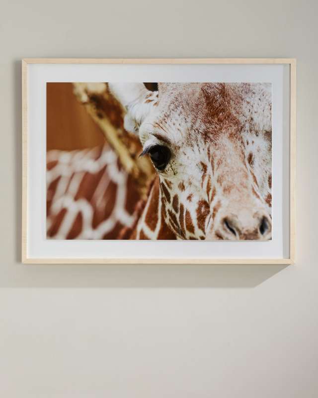 "Giraffe" Photography Print on Canvas Framed Wall Art