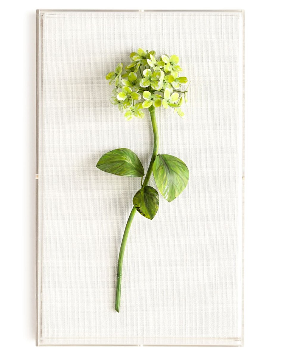 Original Painted Hydrangea Study