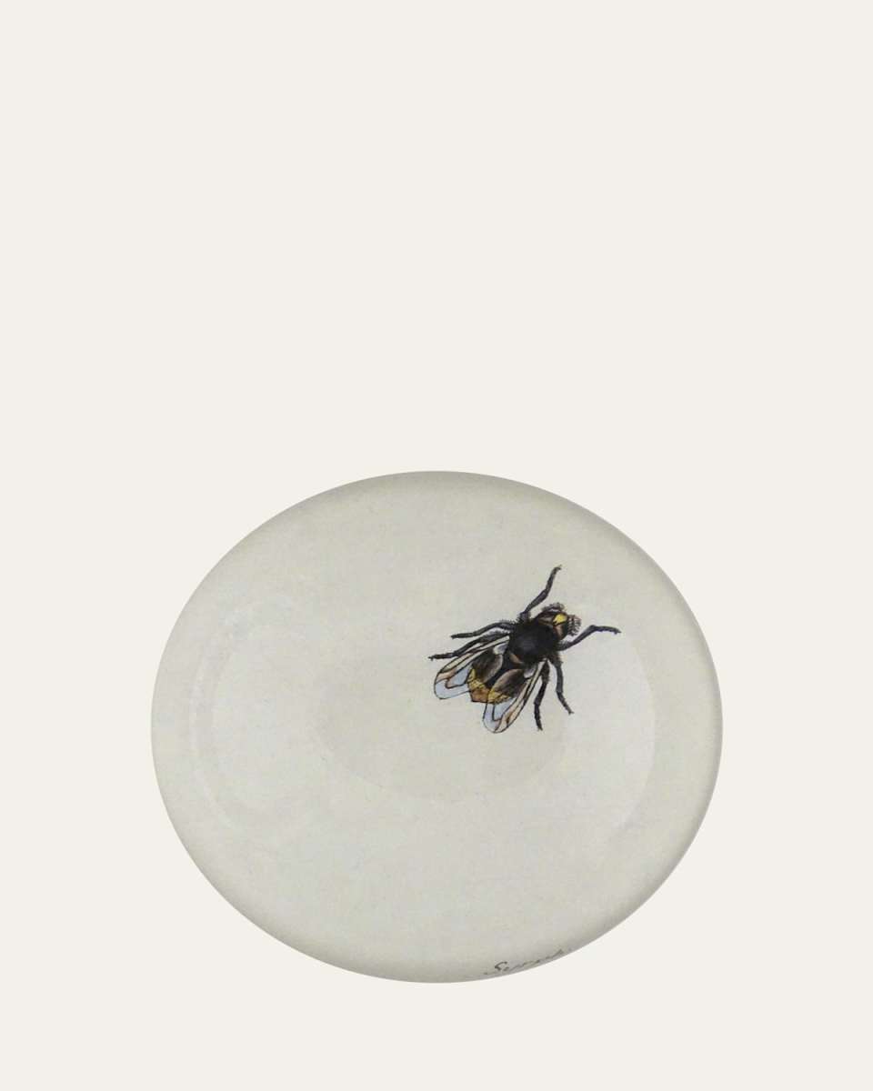 The Fly Dome Paperweight