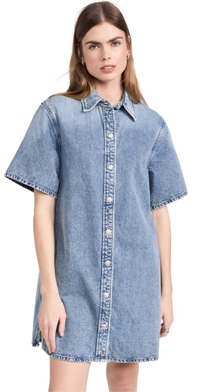rag & bone Carter Dress Elle