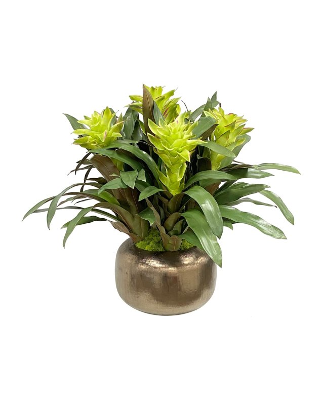 Bromeliad Floral Arrangement in Artisanal Pot