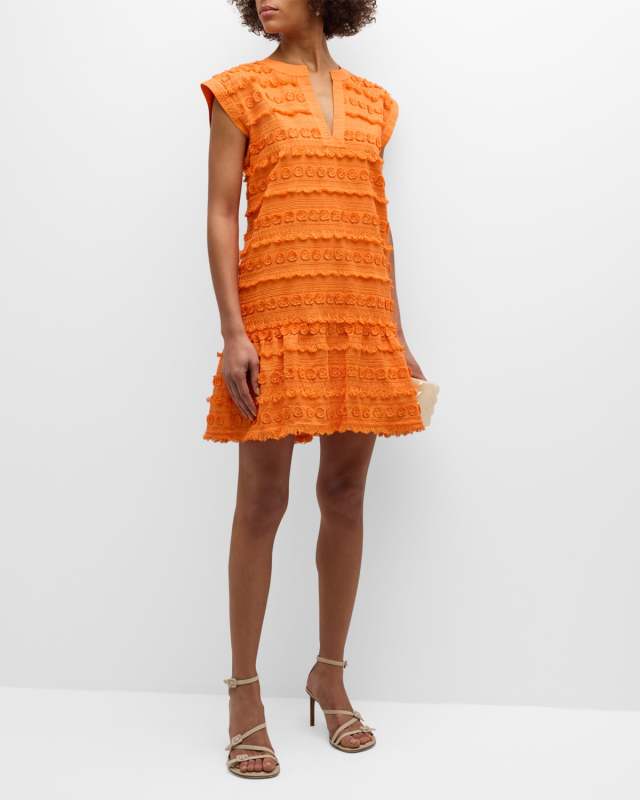 Herra Fringe Embroidered Mini Dress