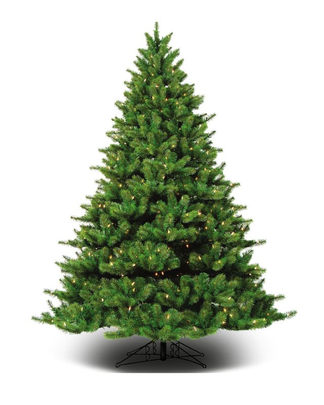 7.5' Appalachian Fir Tree
