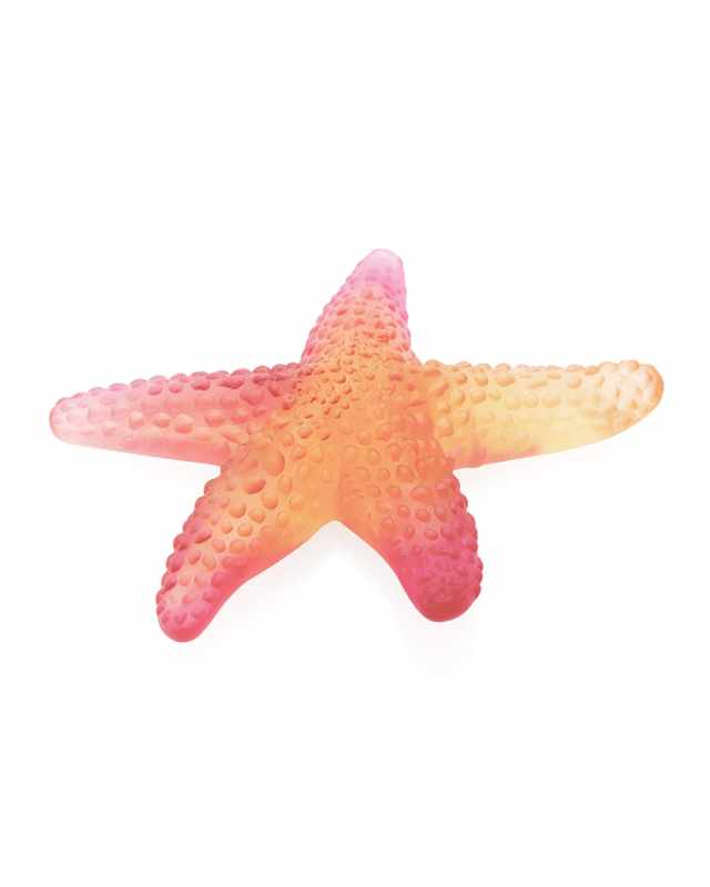 Coral Sea Starfish, Amber/Red