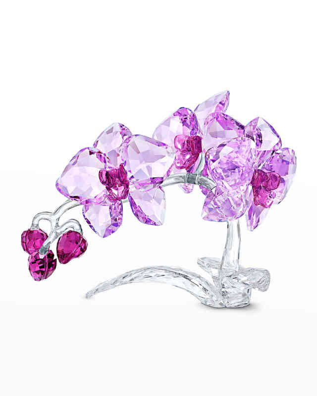 Crystal Flowers Orchid