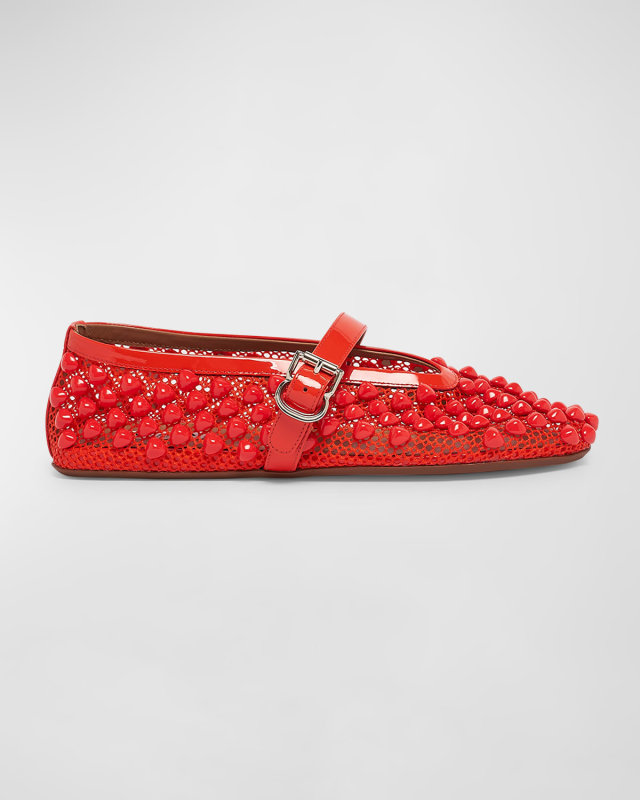 Beaded Net Mary Jane Ballerina Flats