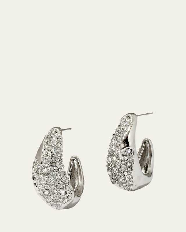 Solanales Silver Crystal Hoop Earrings