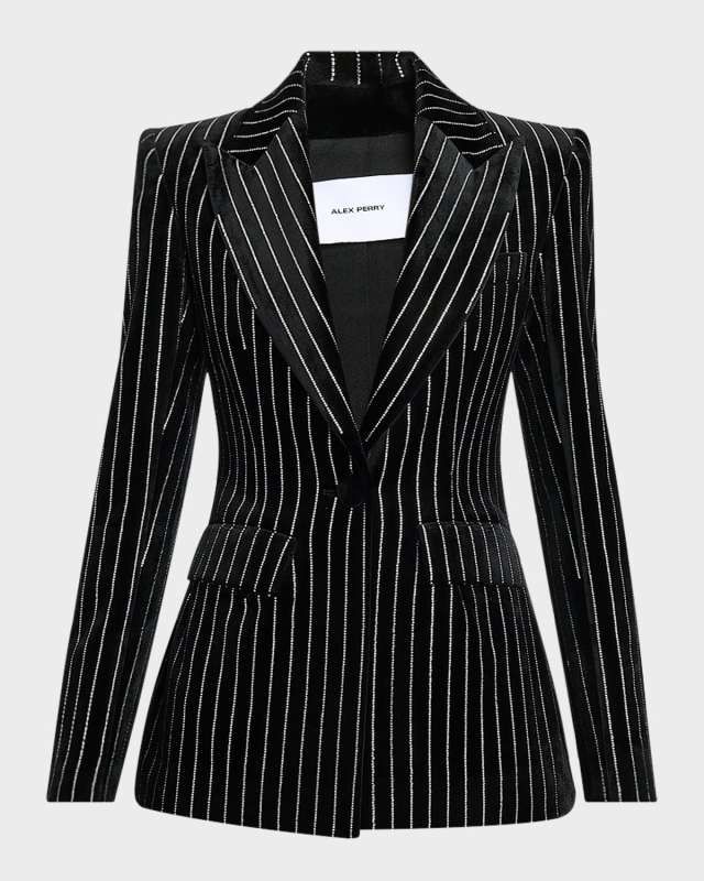 Crystal Pinstripe Velvet Single-Breasted Fitted Blazer