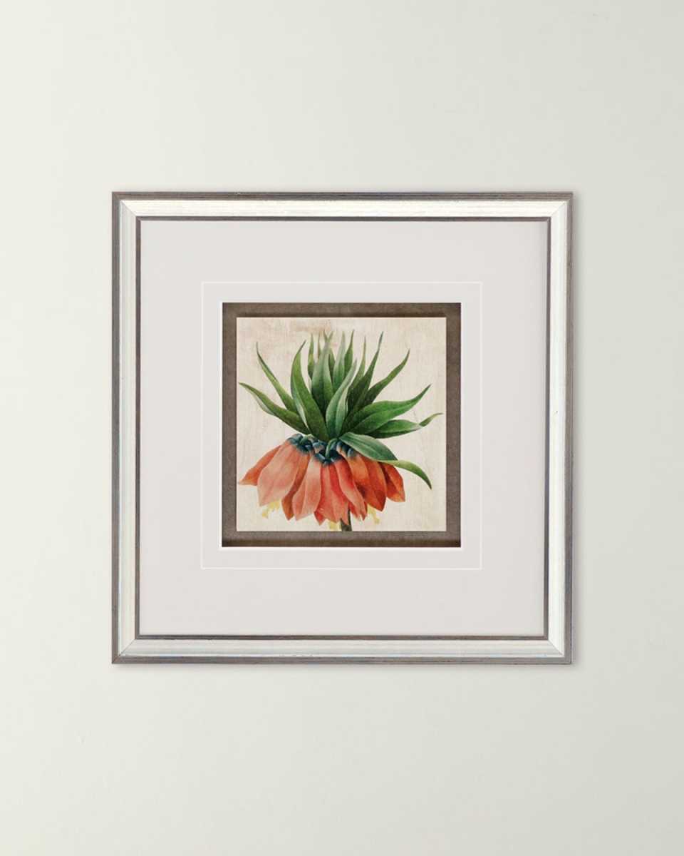 "Hierloom Florals" Giclee, Set of 4