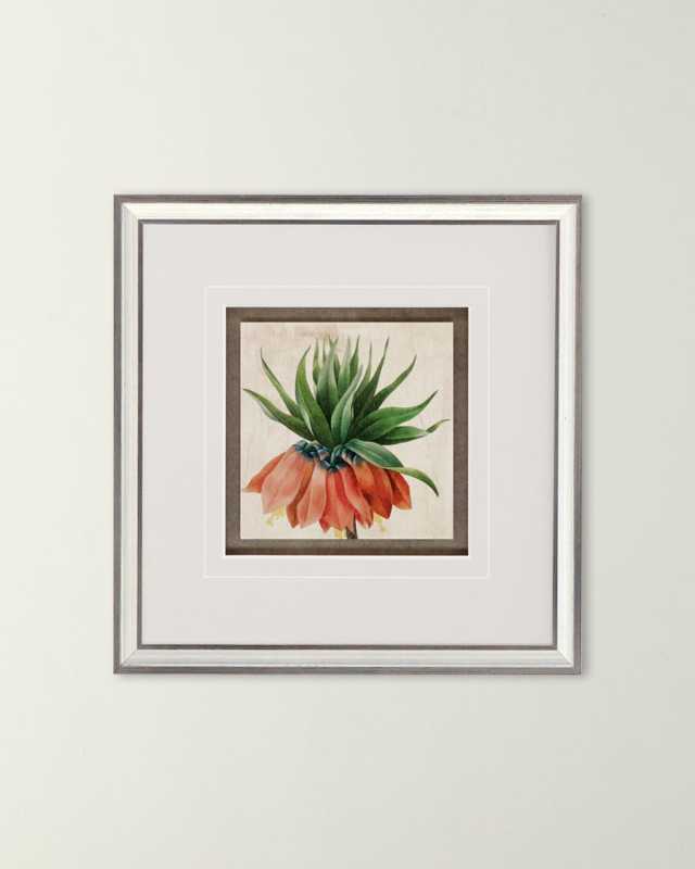 "Hierloom Florals" Giclee, Set of 4