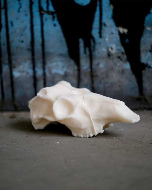 Deer Skull Soy Wax Candle