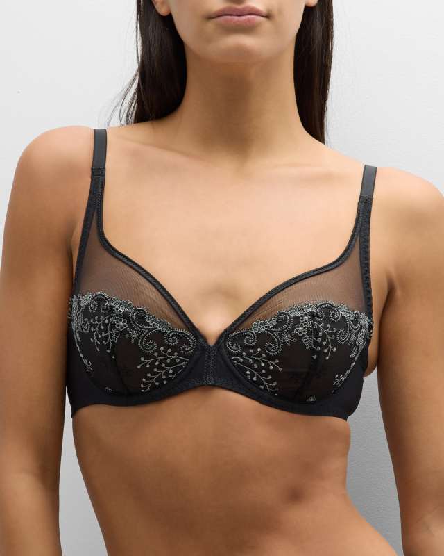 Delice Two-Part Full-Cup Sheer Plunge Bra