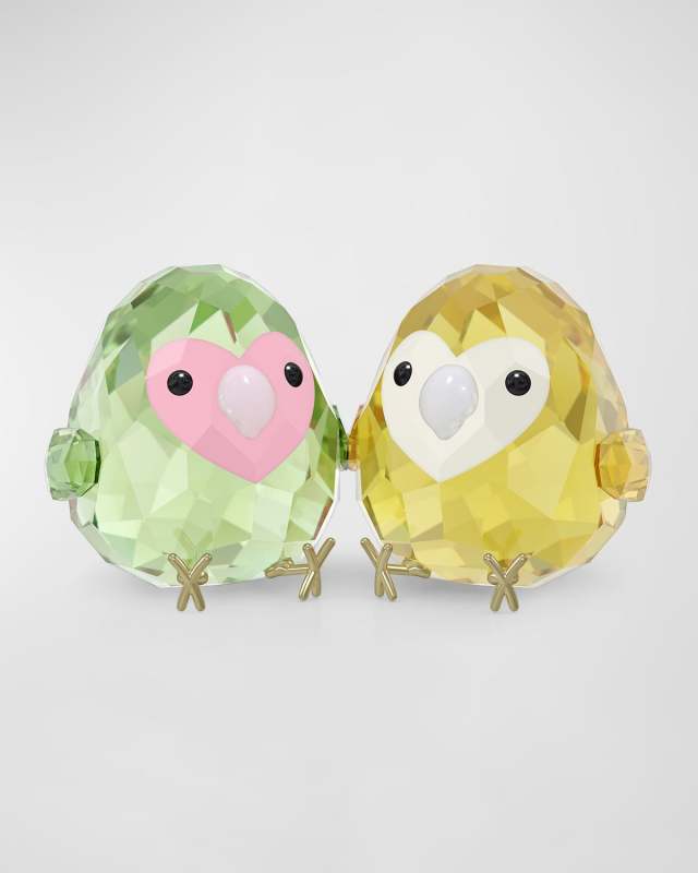 All You Need Are Birds Love Bird Couple