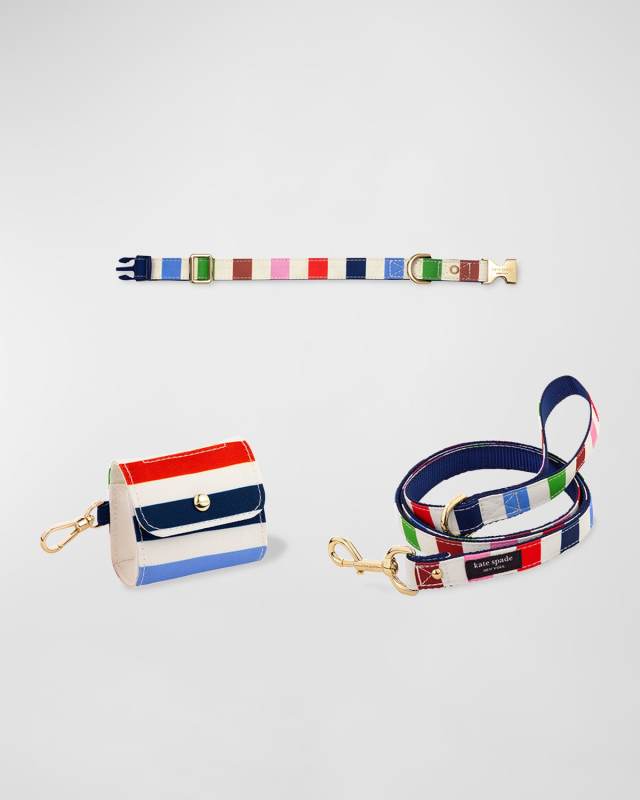 adventure stripe small dog accessories set