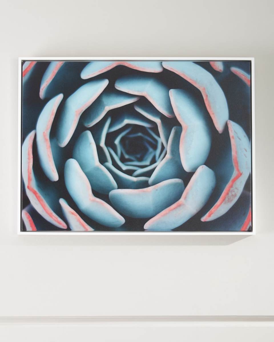 "Close-Up" Photography Print on Canvas Framed Handmade Wall Art