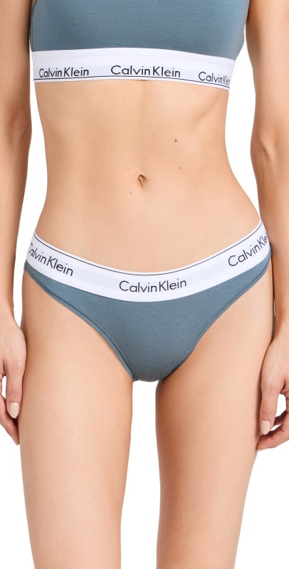Calvin Klein Underwear Modern Cotton Bikini Panties Blue Performance