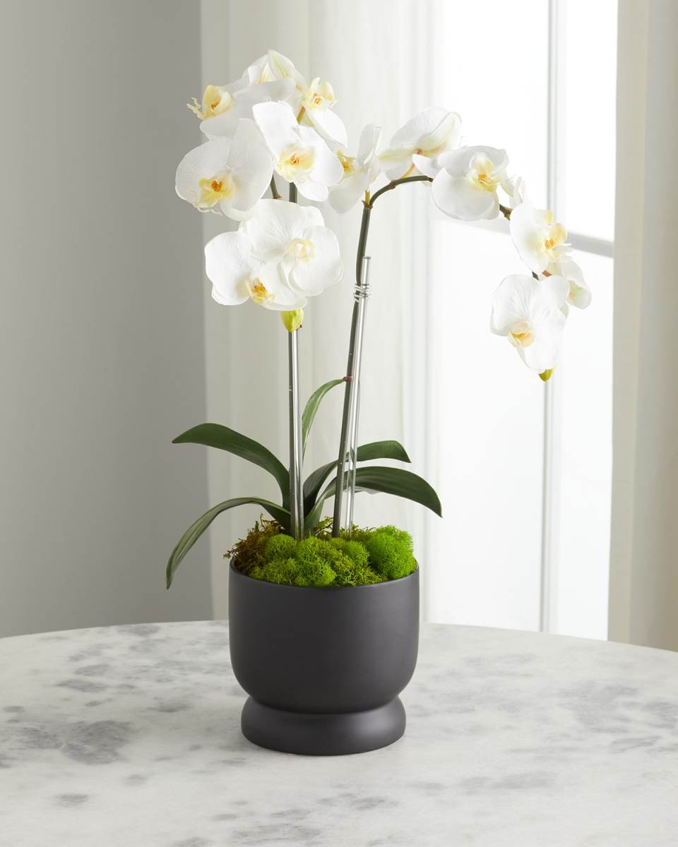 Double Orchids 24" Faux Floral Arrangement in Matte Pot