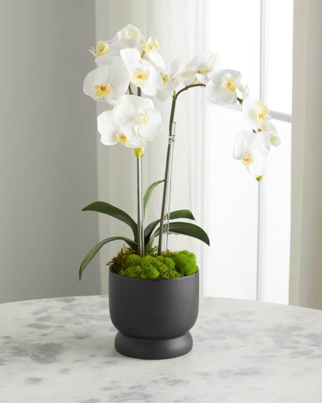 Double Orchids 24" Faux Floral Arrangement in Matte Pot