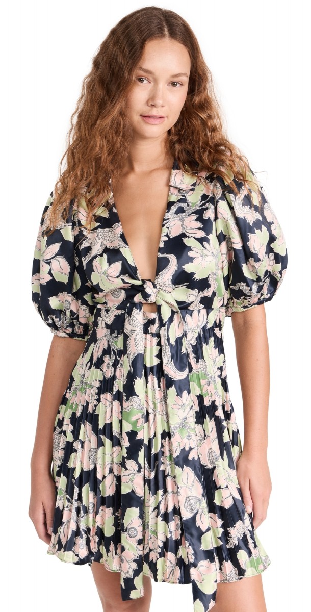 byTiMo Pliss Mini Dress Birds