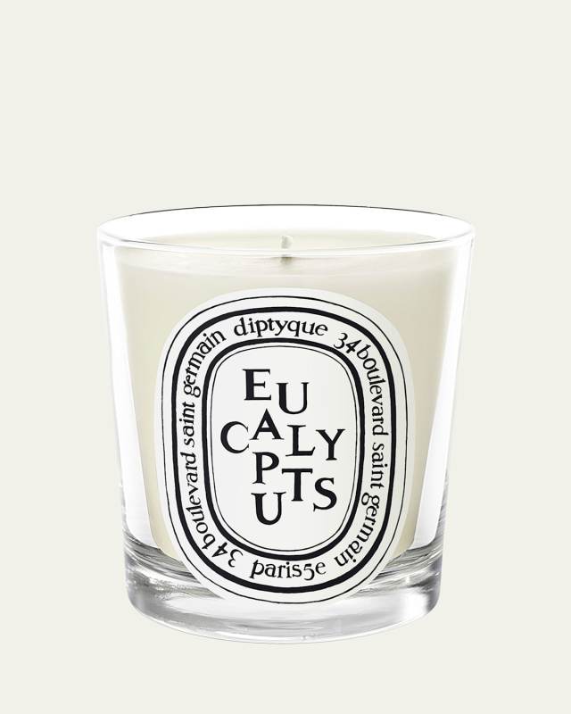 Eucalyptus Scented Candle, 6.5 oz.