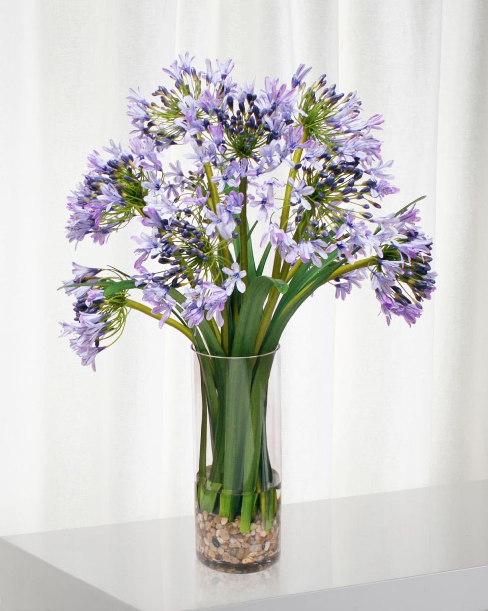 Agapanthus in Glass Vase
