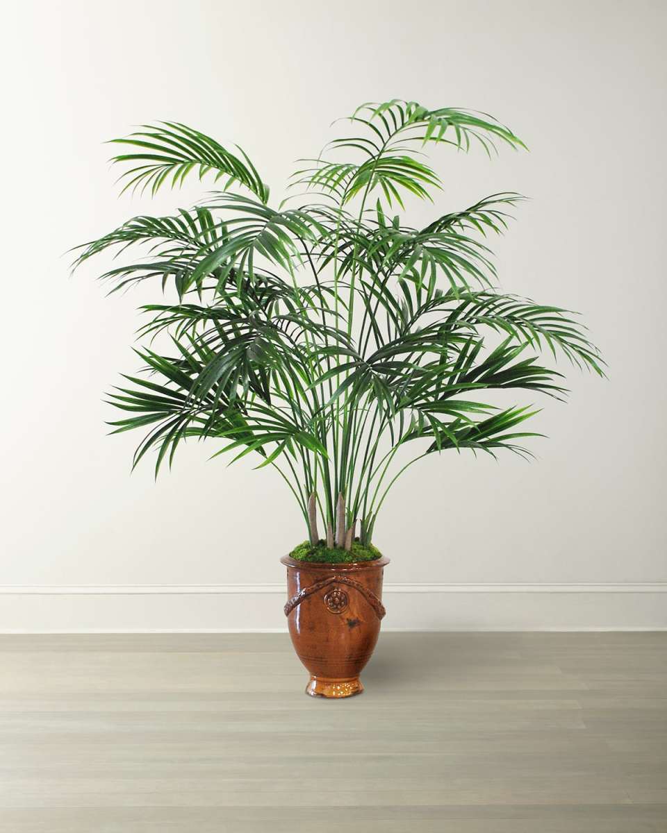 Small Kentia Palm Tree in Urn