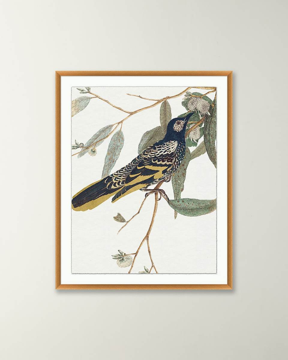 'Birds Of A Feather 1' Wall Art