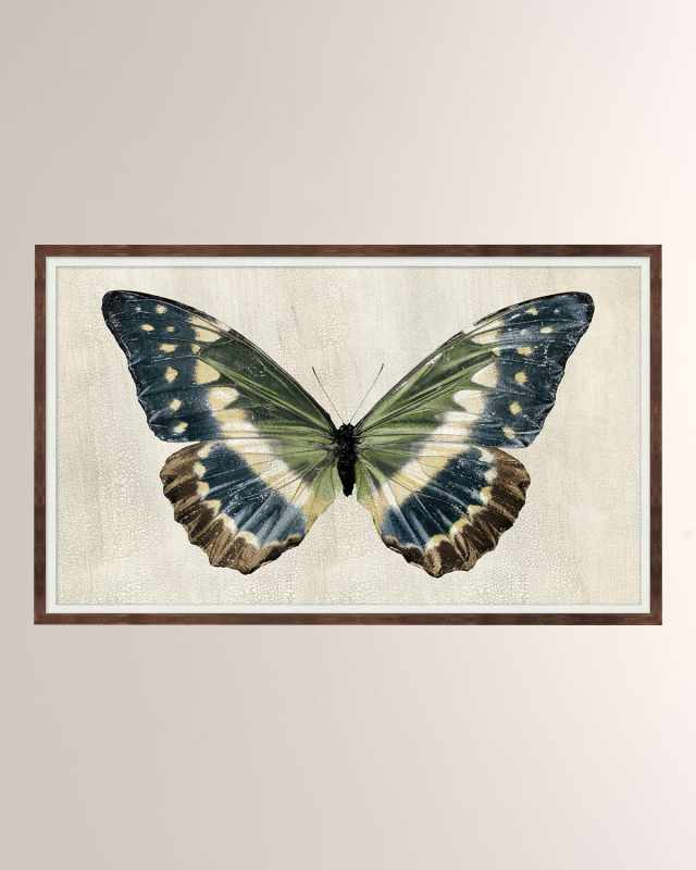 "Crackled Butterfly 2" Giclee Print
