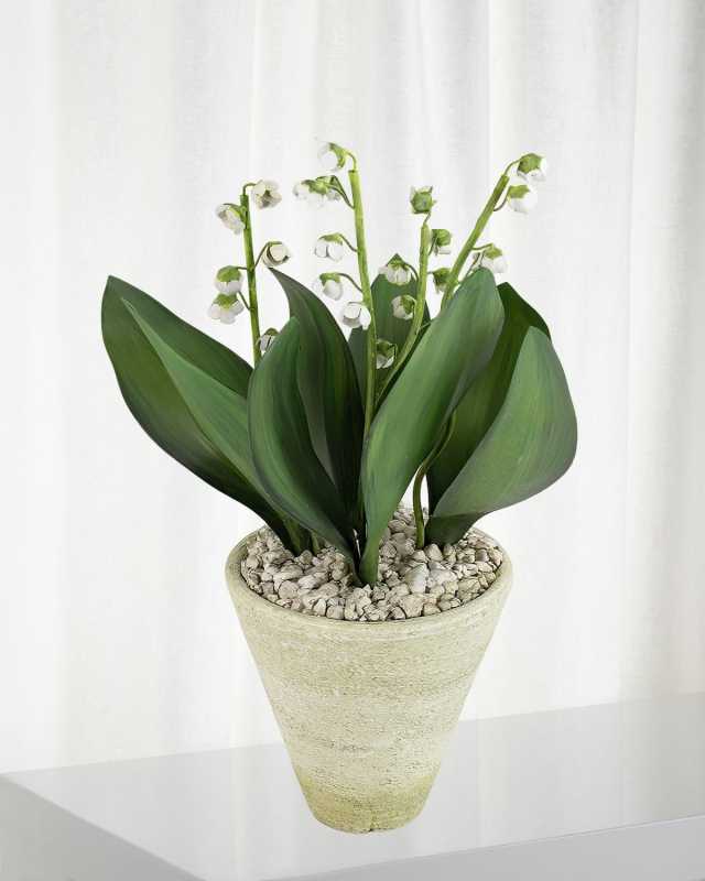Lily of the Valley May Birth Flower in White Terracotta Pot