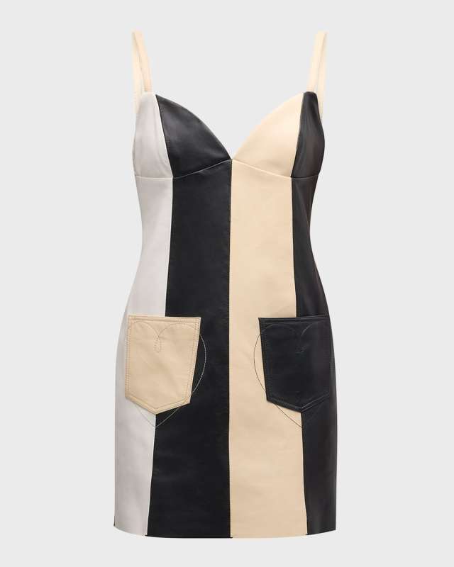 Stripe Leather Mini Dress