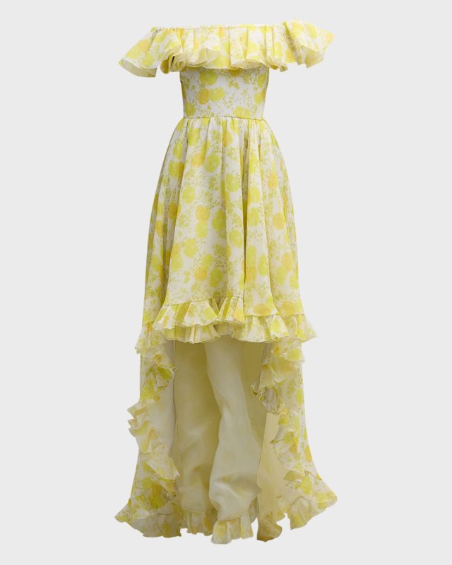 Floral-Print Ruffle Off-The-Shoulder Silk Georgette High-Low Dress