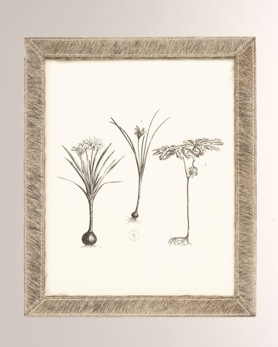 Verwood Frame, 8x