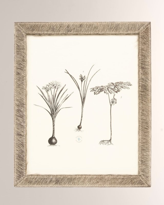 Verwood Frame, 8x